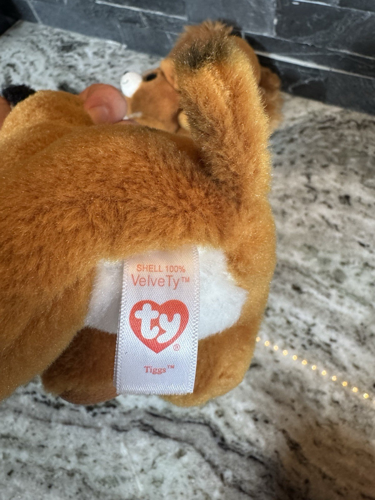 Ty Beanie Velvety- TALA the Dog(6 Inch) Plush Stuffed Toy, Snicky, And Tala