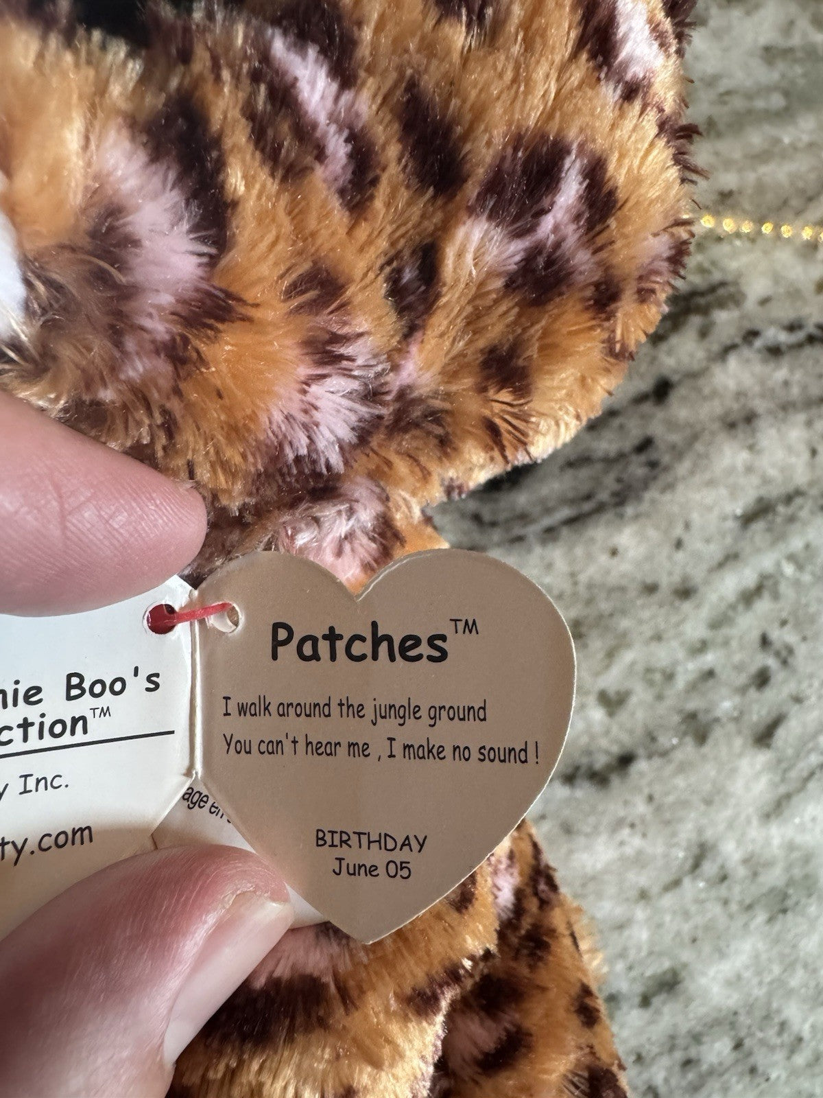 6” Patches & Pablo Ty Beanie Boo: With TAG- Rare And Hard To Find