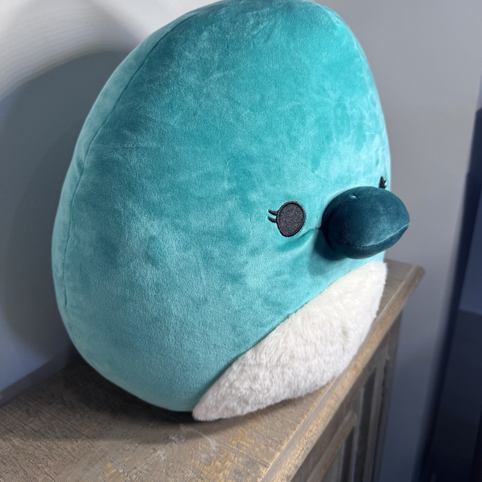 Squishmallows Selassi Platypus 12” Teal Fuzzy Belly Kellytoy Jazwares Plush