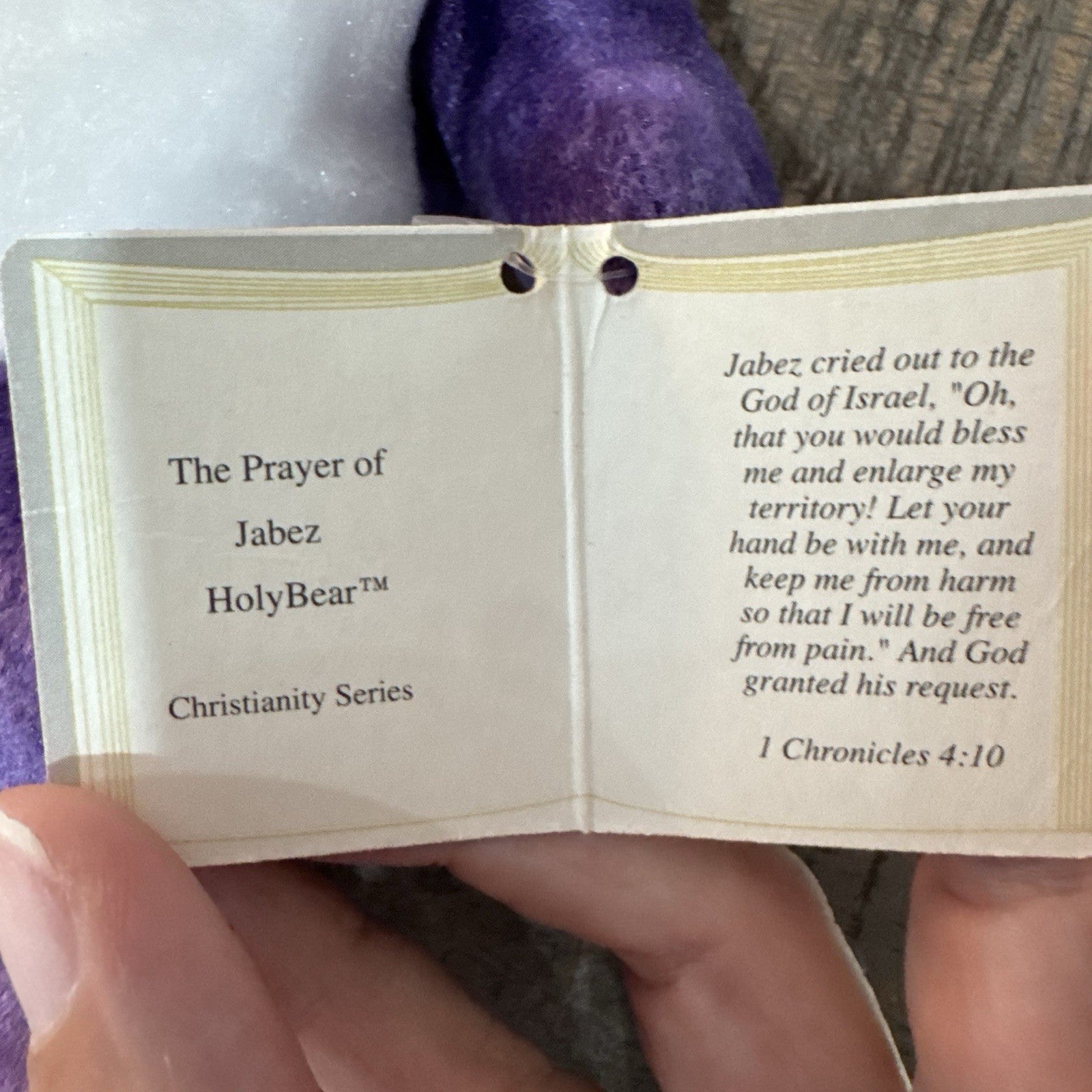 Holy Bears Lot of 2 Prayer of Jabez & Holy Bible Plush Bears 2000 2004 Tags VTG