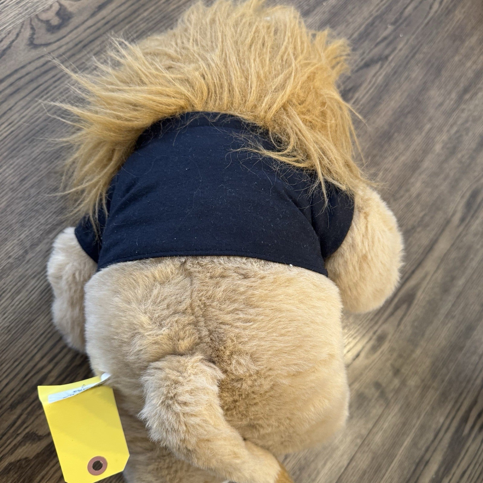 Vintage 18" D.A.R.E. Daren The Lion - Stuffed Plush Animal Lion DARE 1999