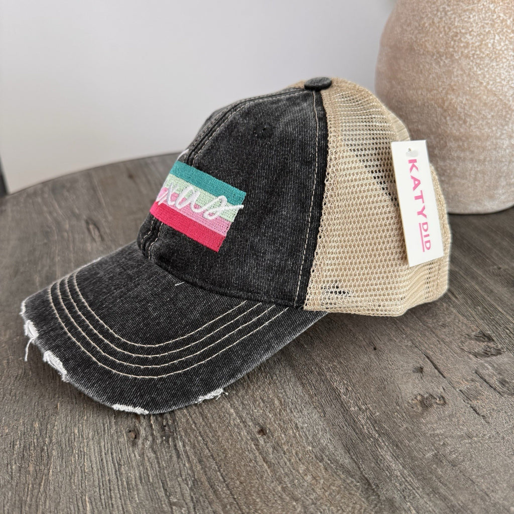 Texas Trucker Hat Retro Stripe KatyDid Distressed Mesh Cap NWT Boutique