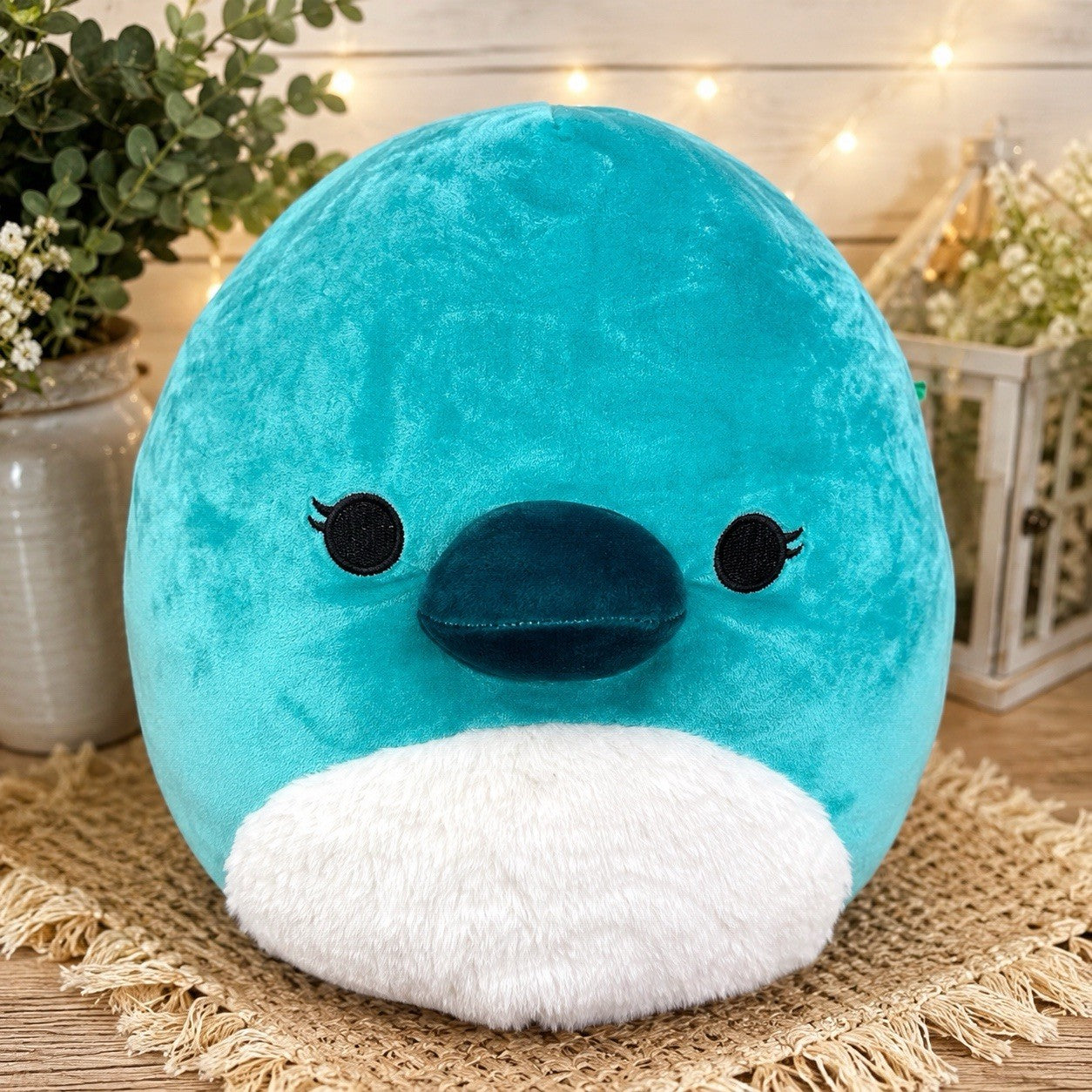 Squishmallows Selassi Platypus 12” Teal Fuzzy Belly Kellytoy Jazwares Plush