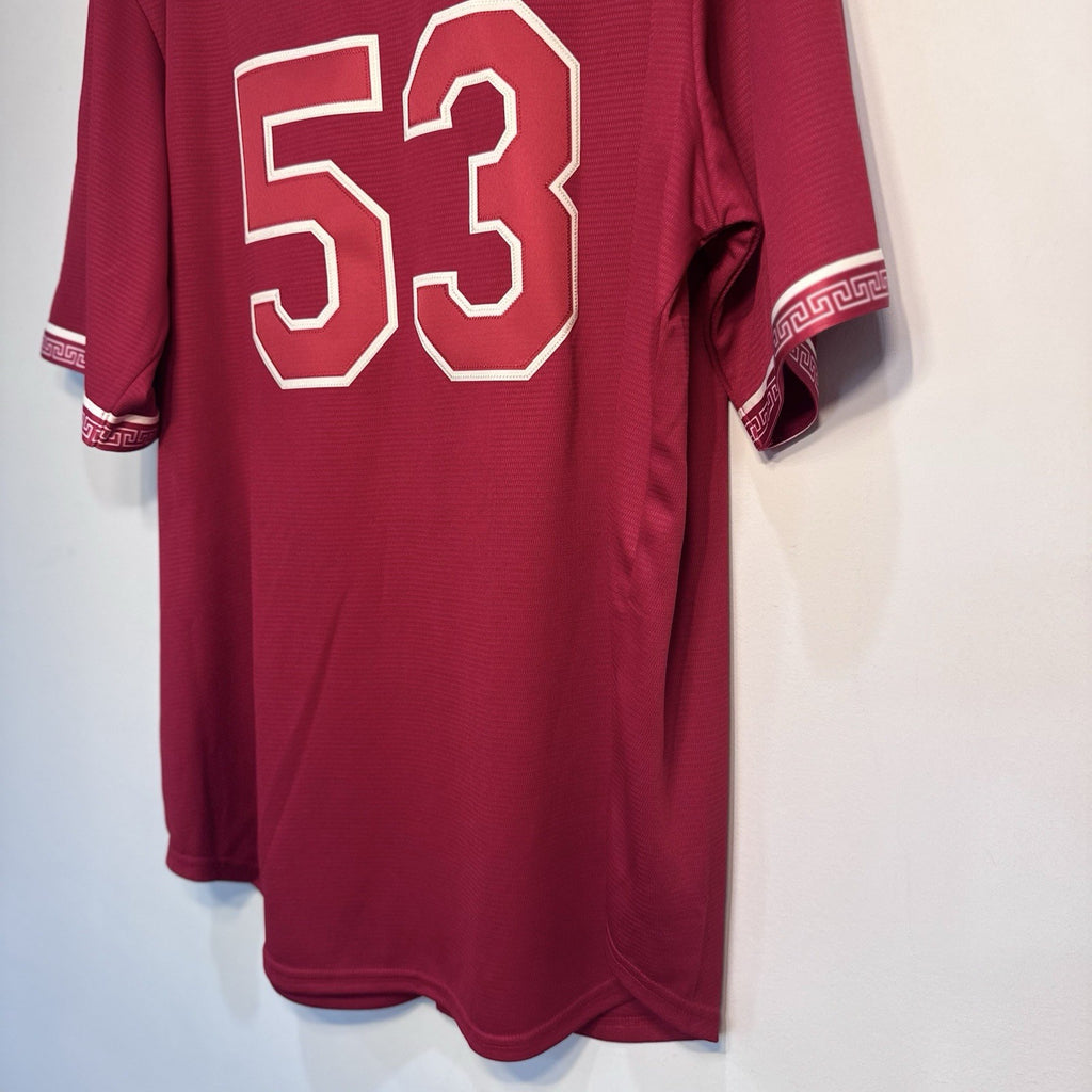 NWT Nike Texas Rangers Adolis Garcia #53 2026 City Connect Tejas Jersey L