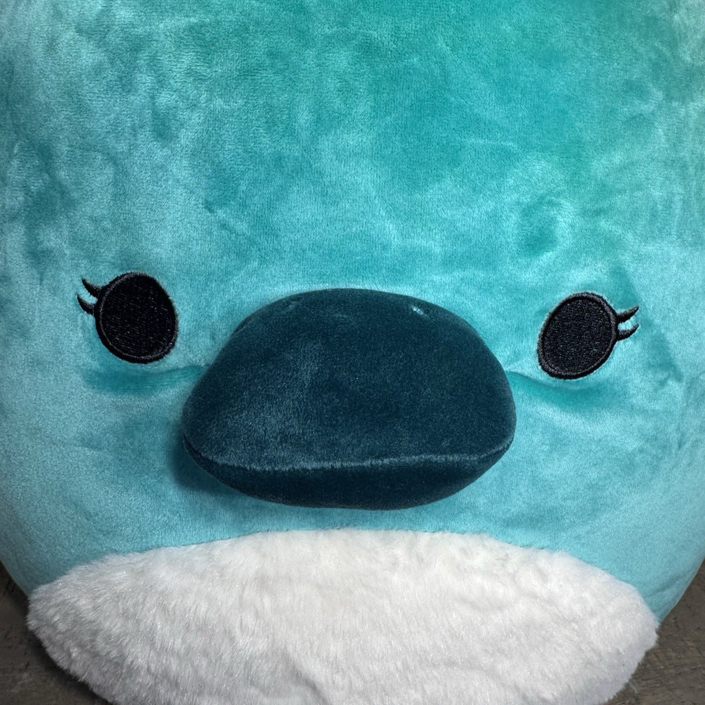 Squishmallows Selassi Platypus 12” Teal Fuzzy Belly Kellytoy Jazwares Plush