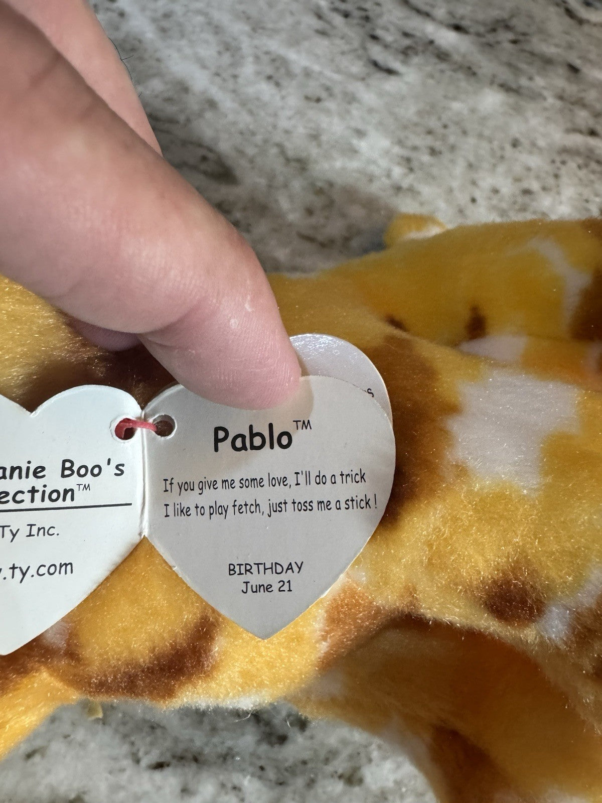 6” Patches & Pablo Ty Beanie Boo: With TAG- Rare And Hard To Find