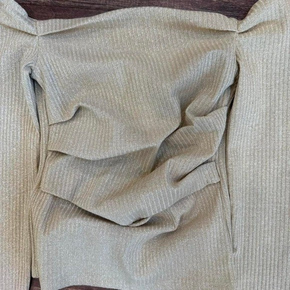Zara Metallic Ribbed Ruched Long Sleeve Top – Size S