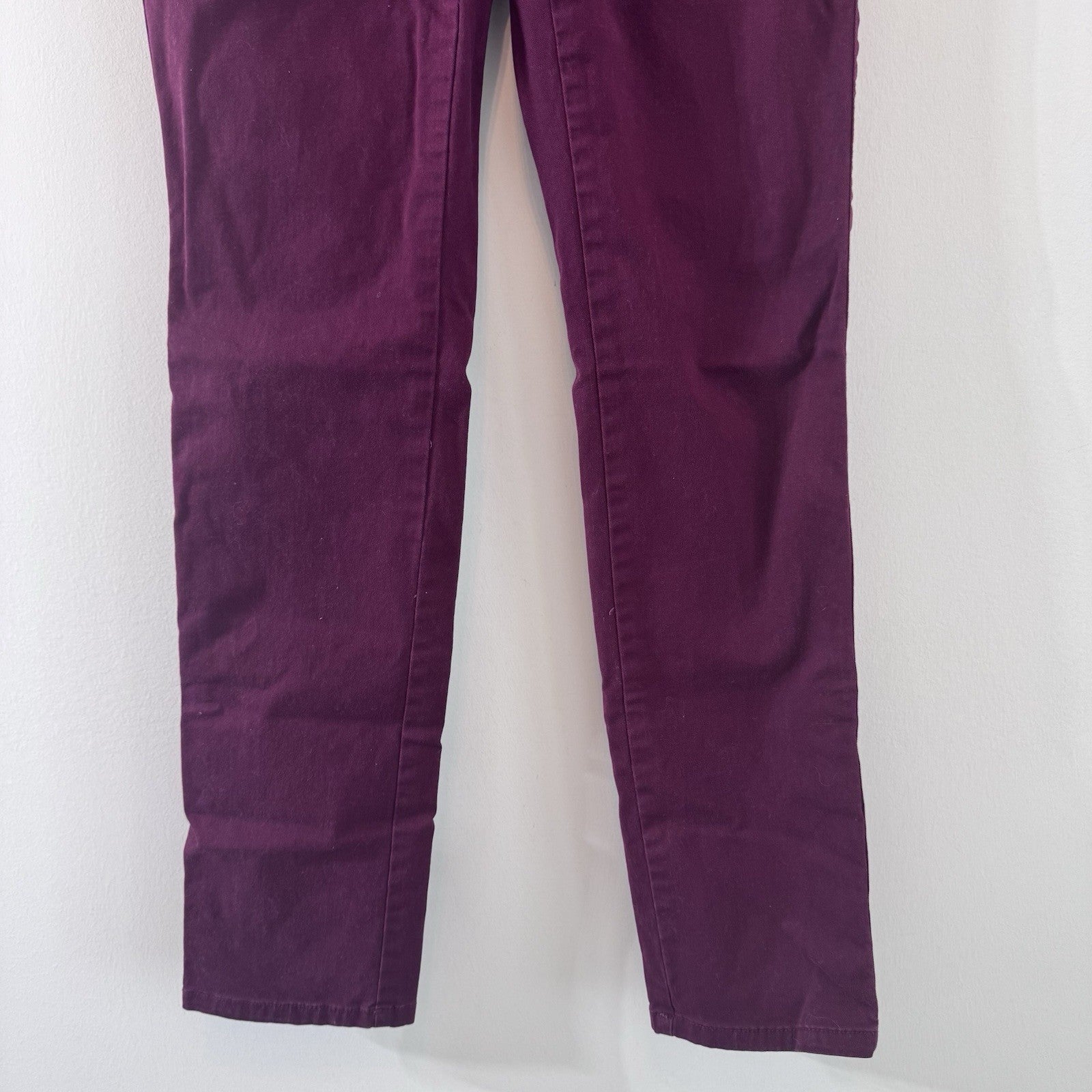 American Eagle Skinny Pants Womens 2 Regular Purple Stretch Chino Casual