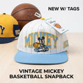 Disney Neff Mickey Mouse Snapback Hat White Blue Pinstripe Adjustable NWT