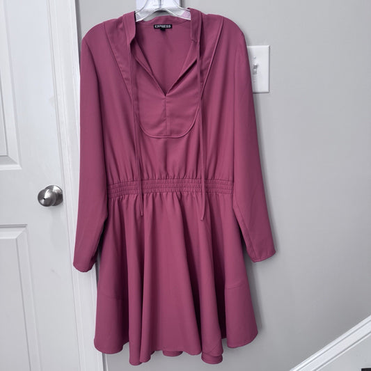 Express Women’s Large Pink Long Sleeve Mini Dress Elastic Waist Boho Style