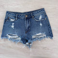 Articles of Society Y2K Distressed Denim Shorts 25 Frayed