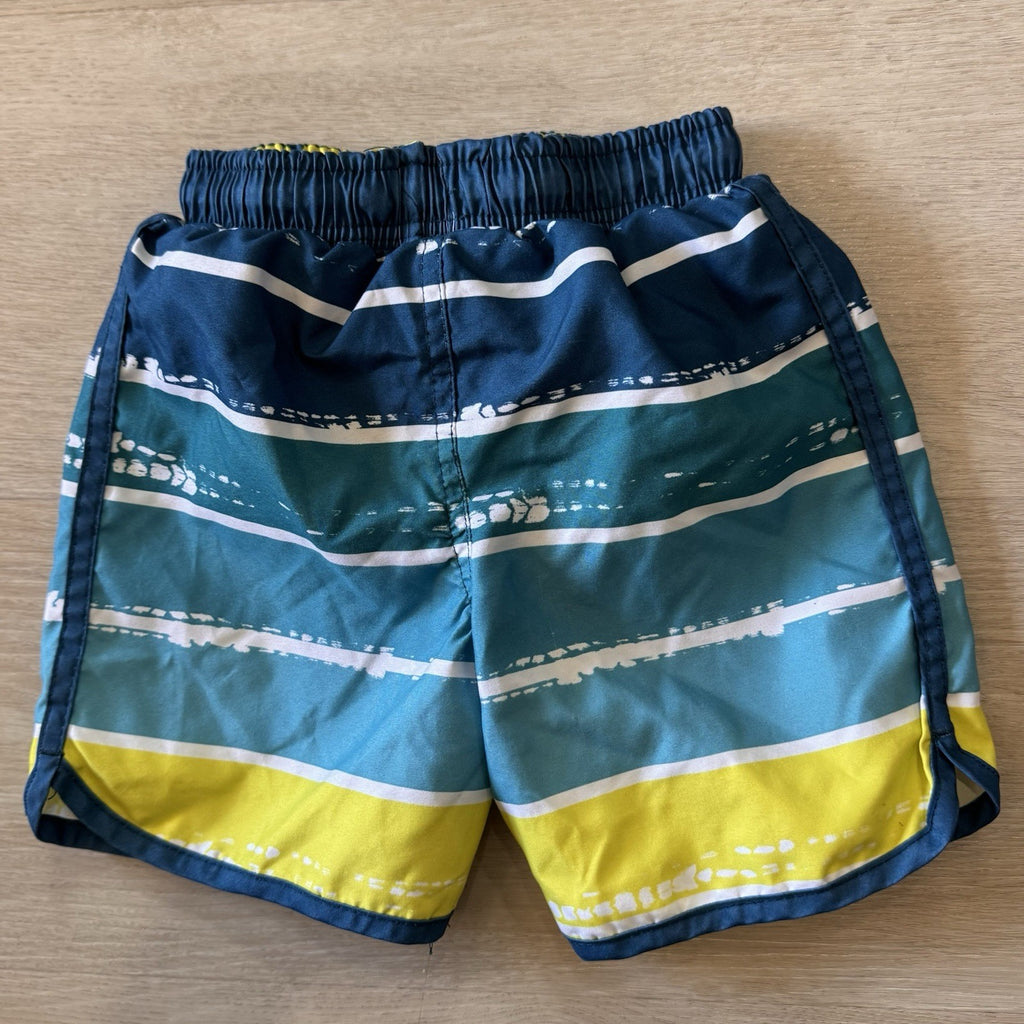 Disney Mickey Mouse Boys Swim Trunks Size 2T Blue Striped Mesh