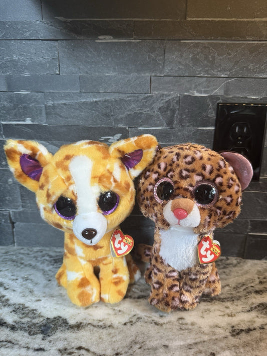 6” Patches & Pablo Ty Beanie Boo: With TAG- Rare And Hard To Find