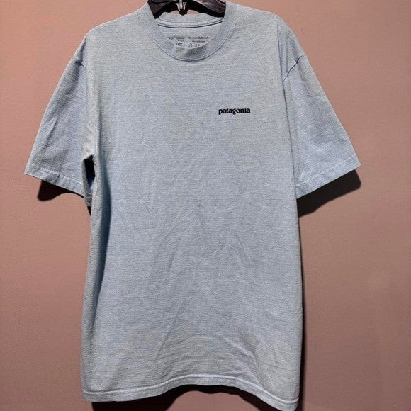 Patagonia Responsibili-Tee | Small | Eco-Friendly Fit