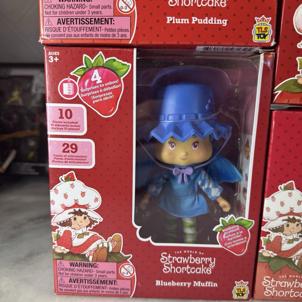 Strawberry Shortcake Doll & Teeny Tinies Lot Blueberry Muffin Plum Set