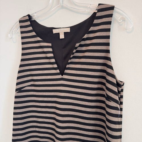Banana Republic Dress Womens Small Striped V-Neck Sleeveless Lined Stretch Knit
