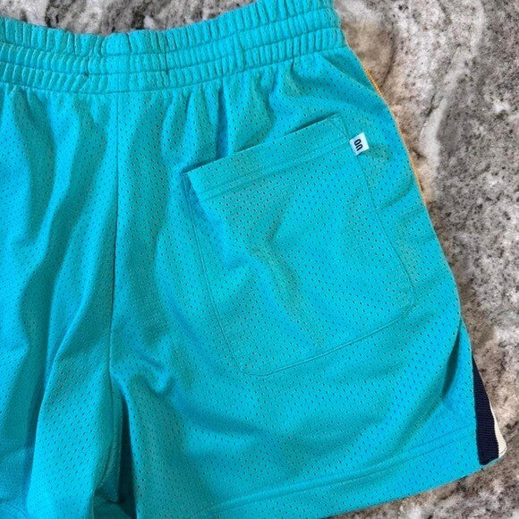 Urban Outfitters women's Mesh Athletic Shorts Turquoise Retro Stripe