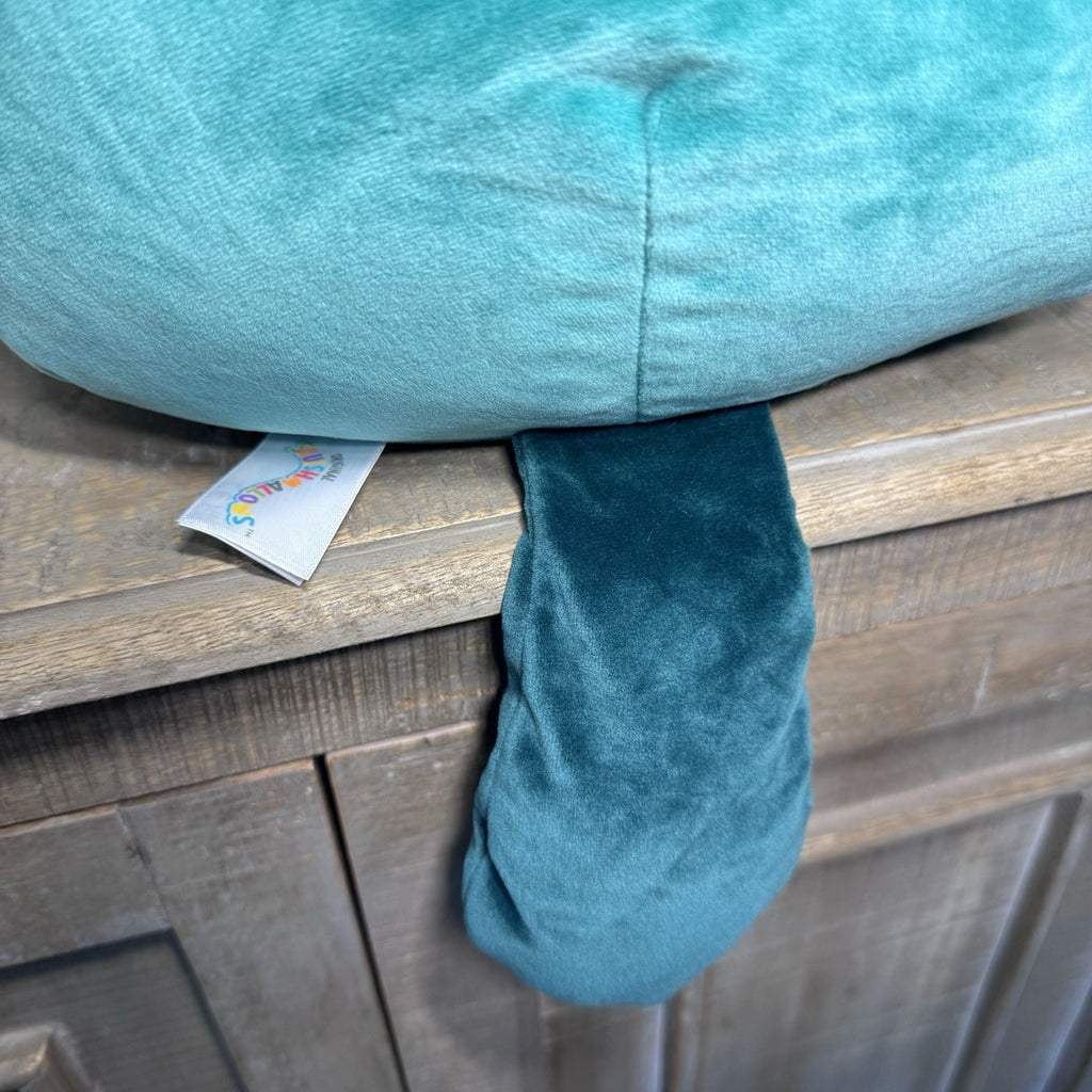 Squishmallows Selassi Platypus 12” Teal Fuzzy Belly Kellytoy Jazwares Plush
