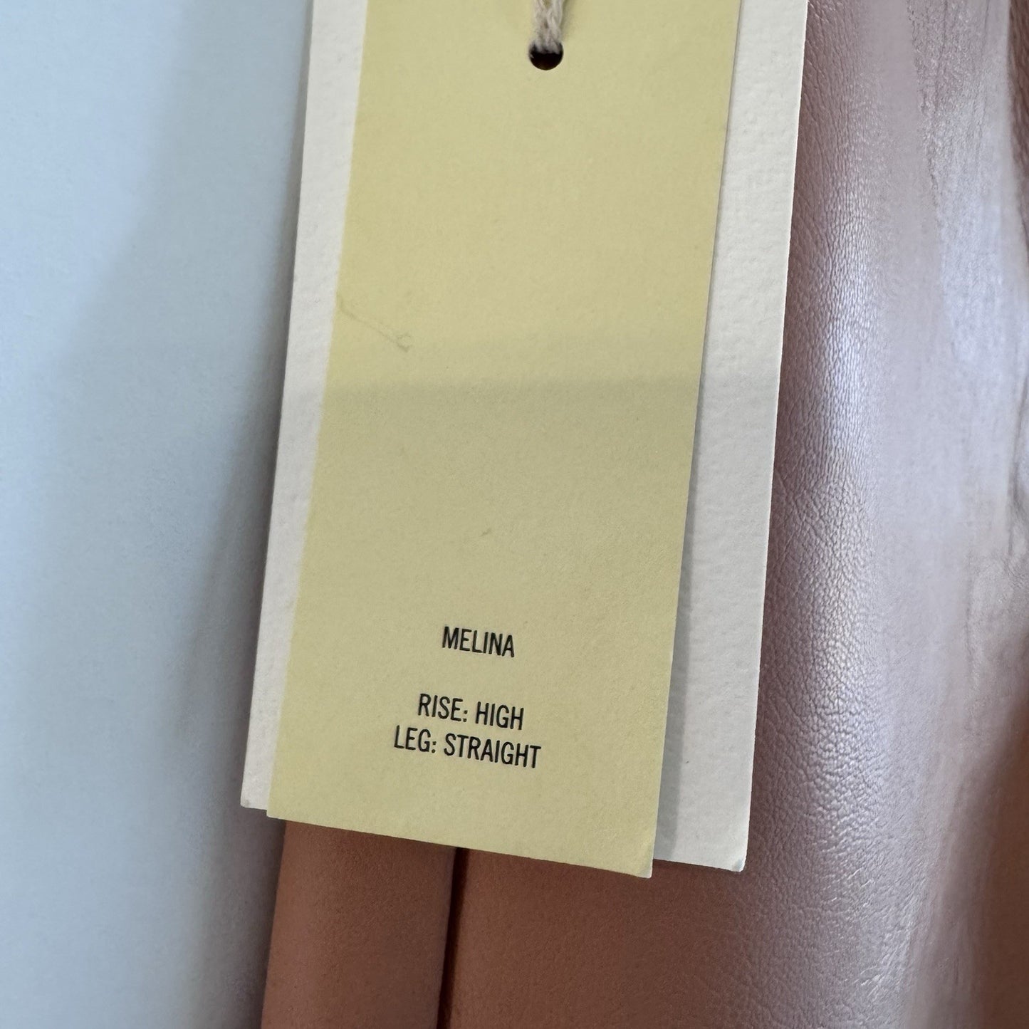 Wilfred Melina Faux Leather Pants Soft Terracotta High Rise Straight 2 NWT