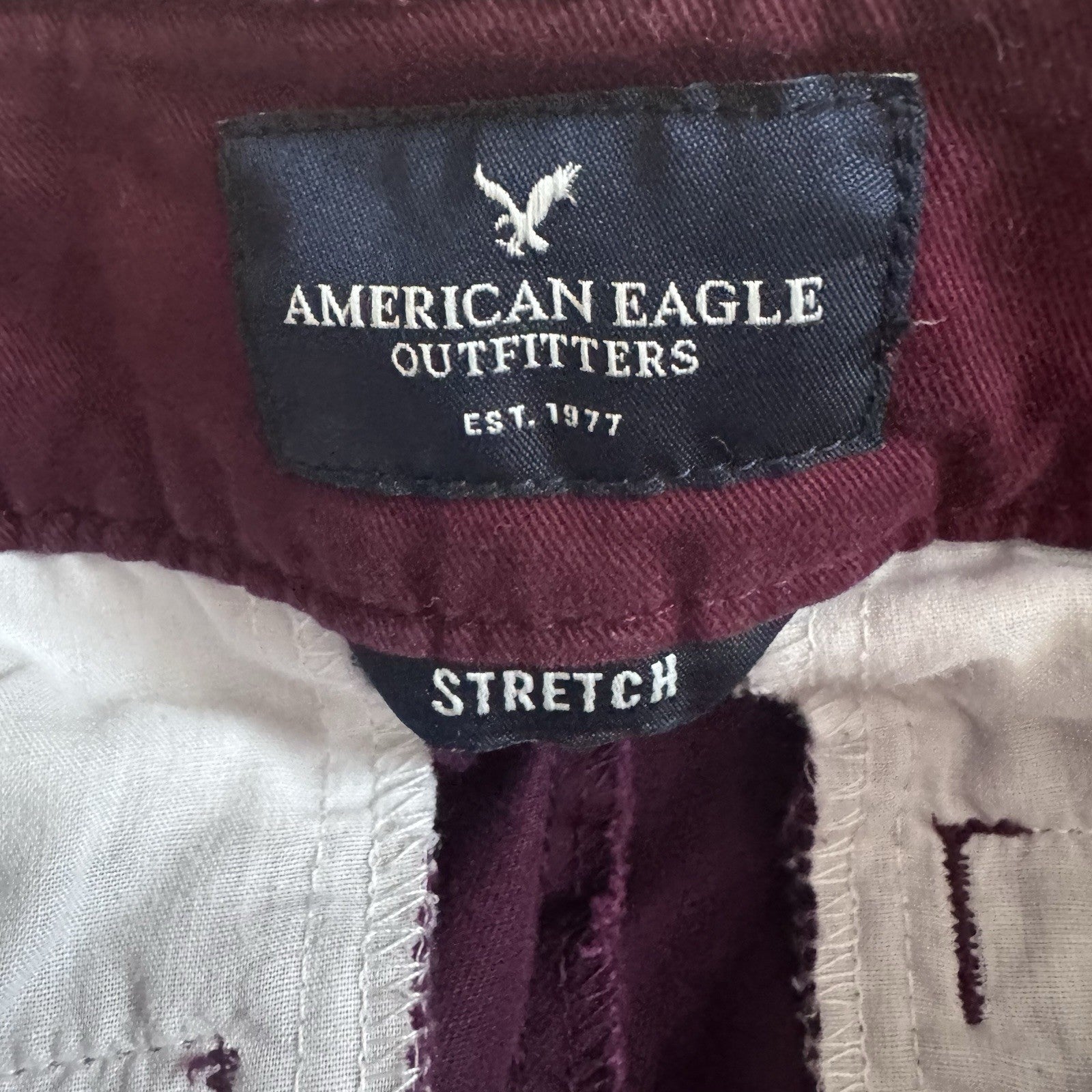 American Eagle Skinny Pants Womens 2 Regular Purple Stretch Chino Casual