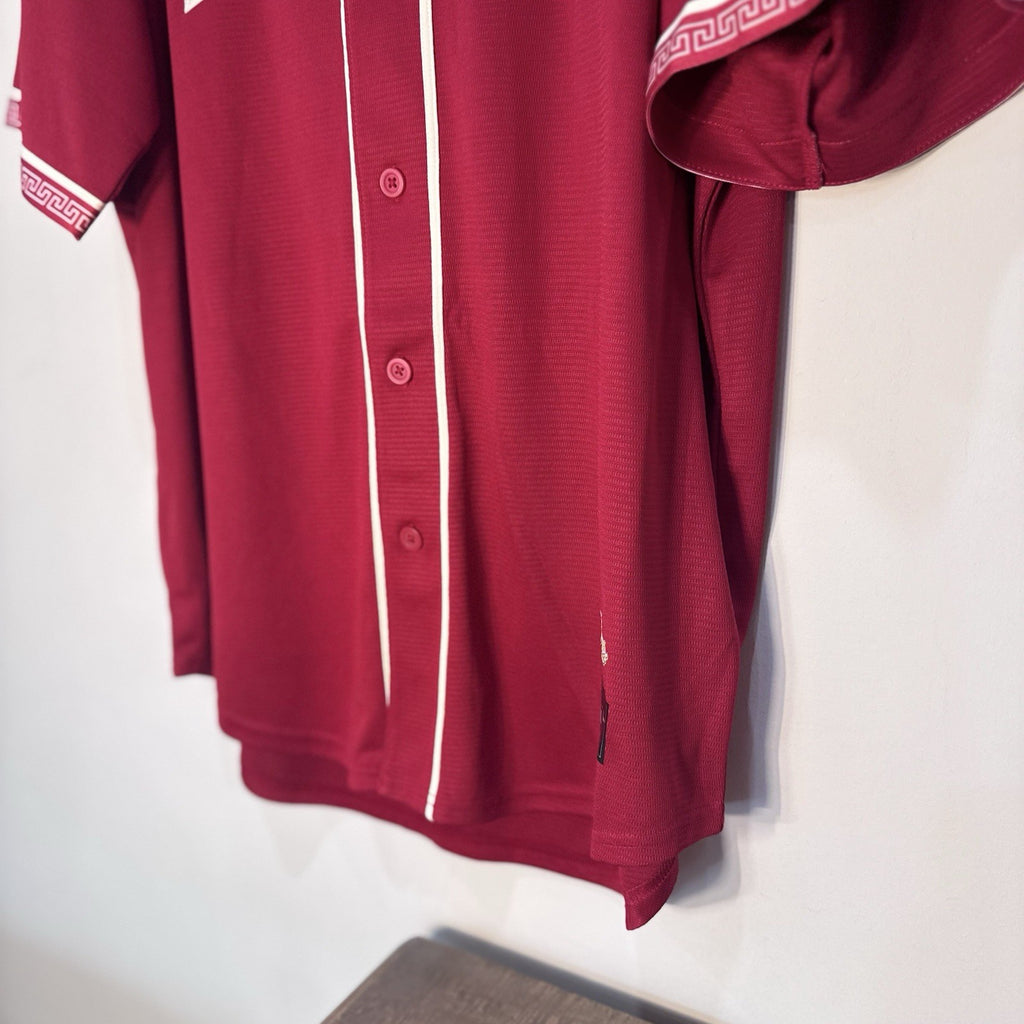 NWT Nike Texas Rangers Adolis Garcia #53 2026 City Connect Tejas Jersey L