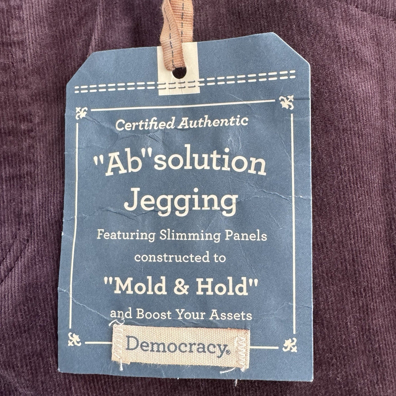 Democracy Absolution Jegging 8 Dark Purple Corduroy Jeri Skinny NWT