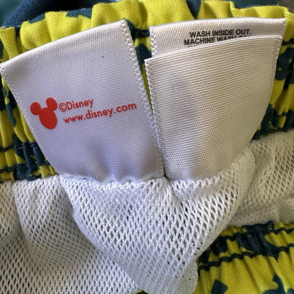 Disney Mickey Mouse Boys Swim Trunks Size 2T Blue Striped Mesh