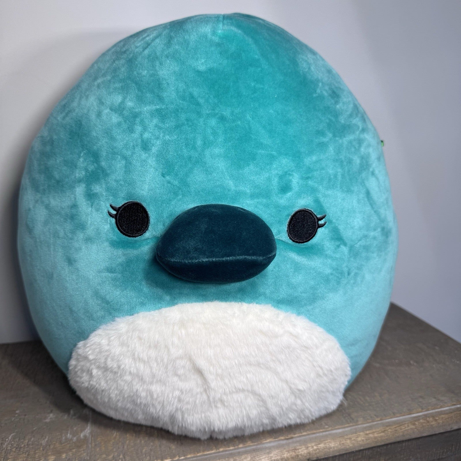 Squishmallows Selassi Platypus 12” Teal Fuzzy Belly Kellytoy Jazwares Plush