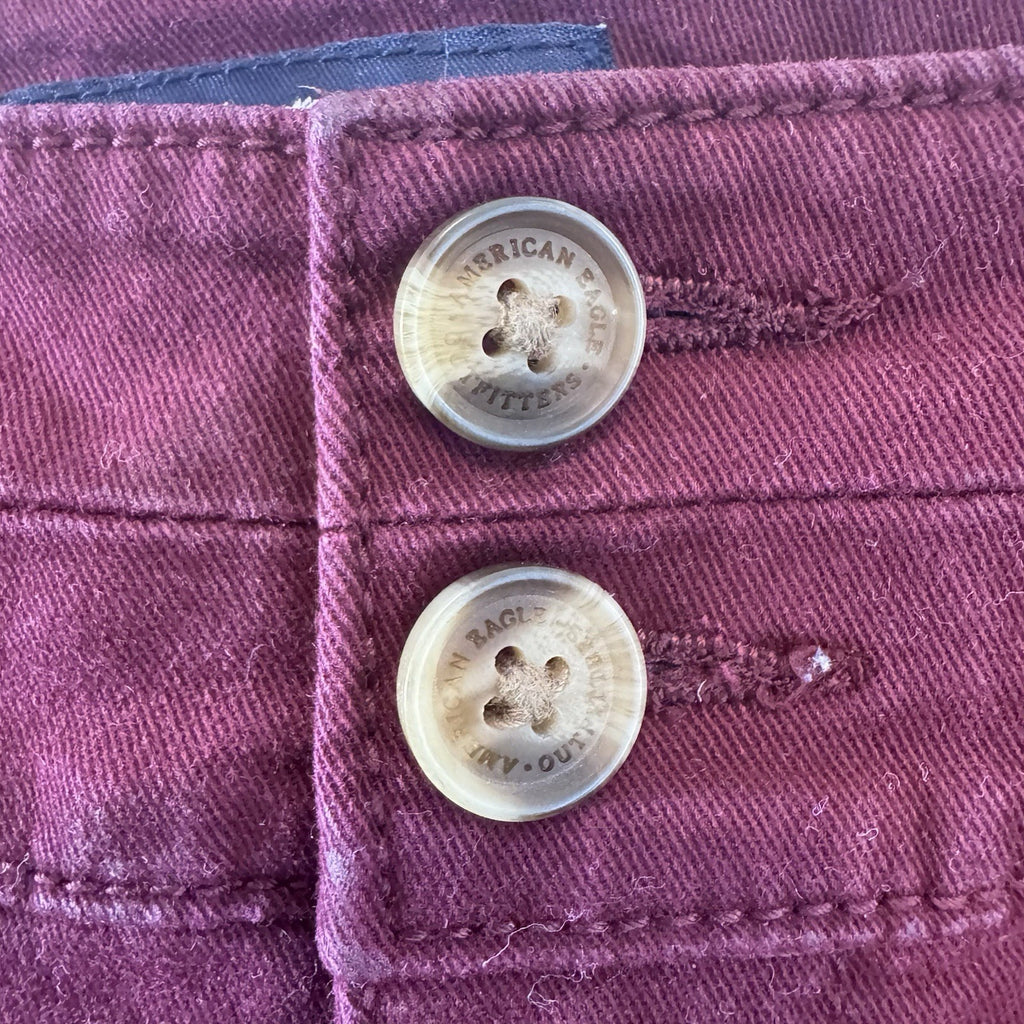 American Eagle Skinny Pants Womens 2 Regular Purple Stretch Chino Casual