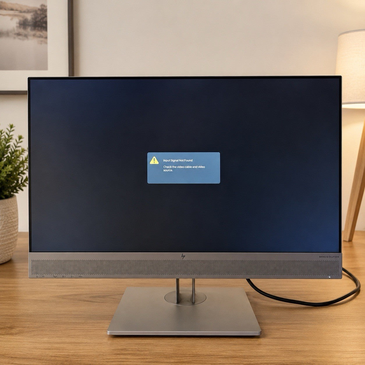 HP EliteDisplay E243m 23.8” FHD IPS Monitor B&O Webcam Works
