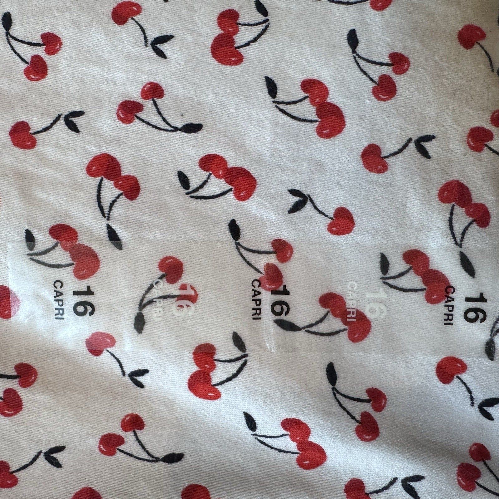 Charter Club Bristol Capri Pants Size 16 Cherry Print Tummy Slimming